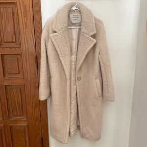 Aritzia Wilfred - The Only Coat - Teddy